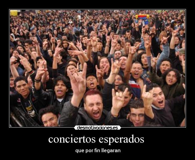 conciertos esperados -