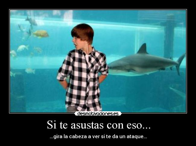 Si te asustas con eso... - 