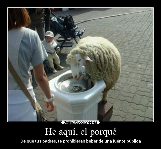 He aquí, el porqué - De que tus padres, te prohibieran beber de una fuente pública