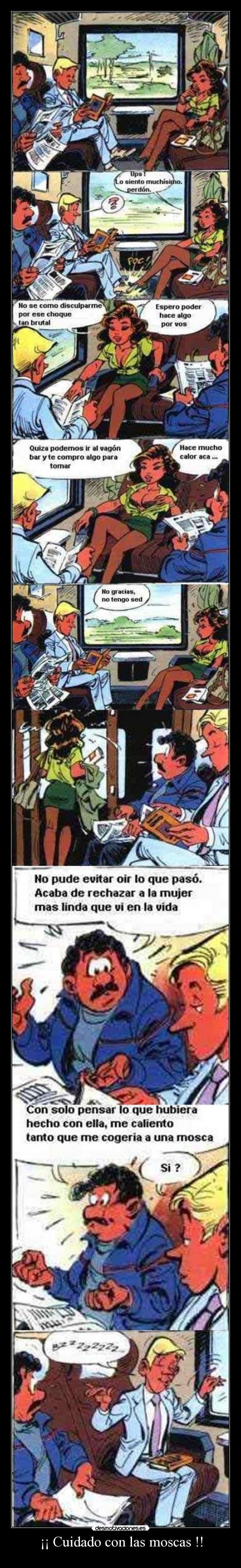 ¡¡ Cuidado con las moscas !! - 