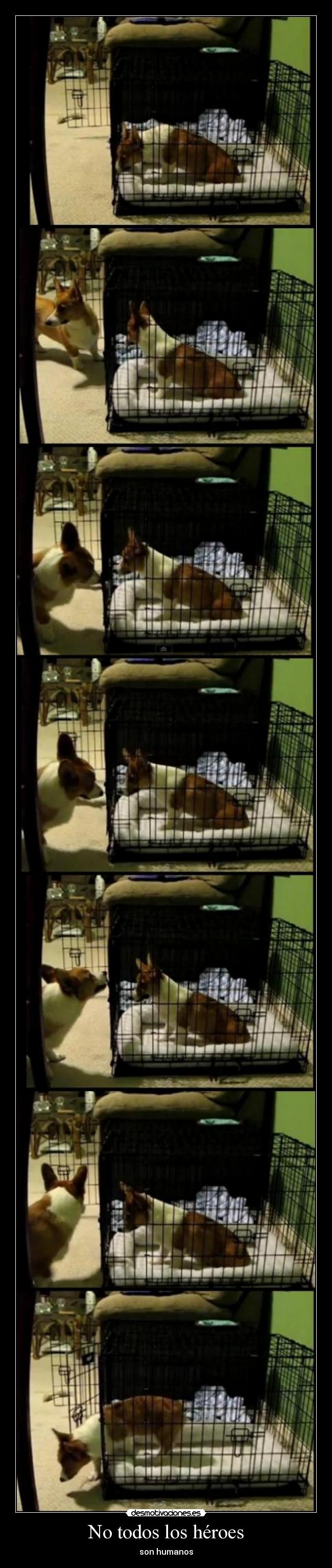 No todos los héroes - 