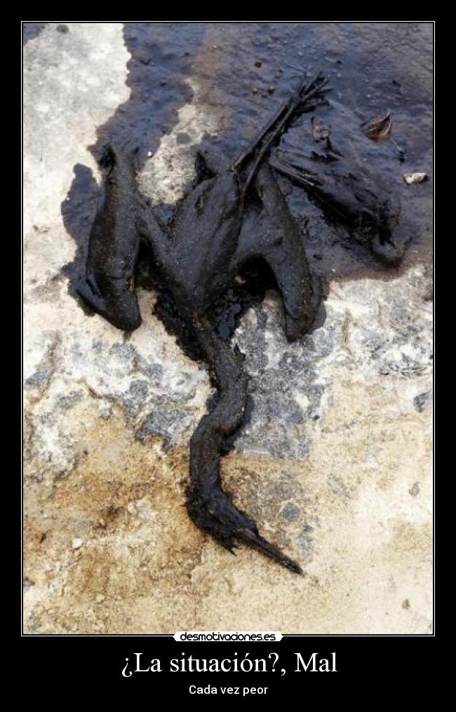 ¿La situación?, Mal - Cada vez peor