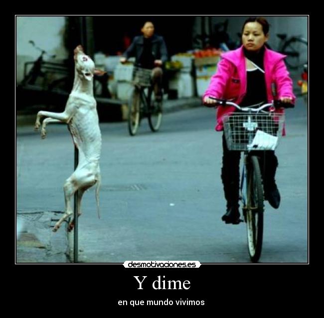 Y dime -