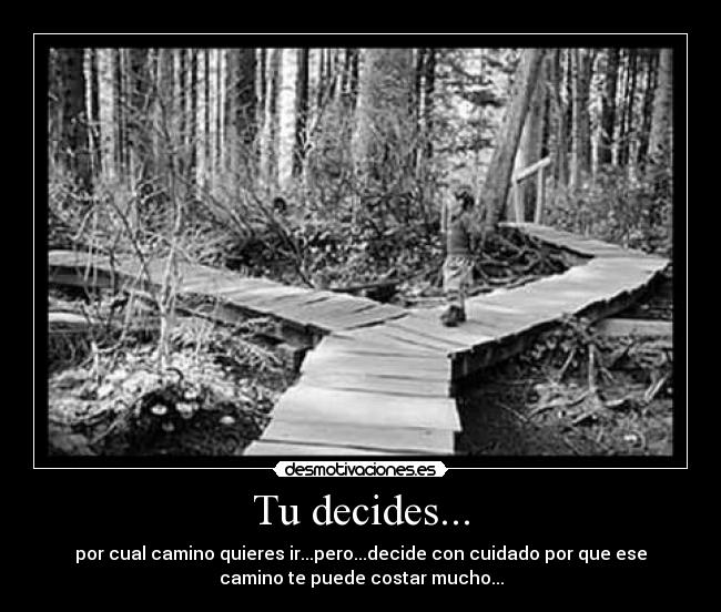 Tu decides... - 