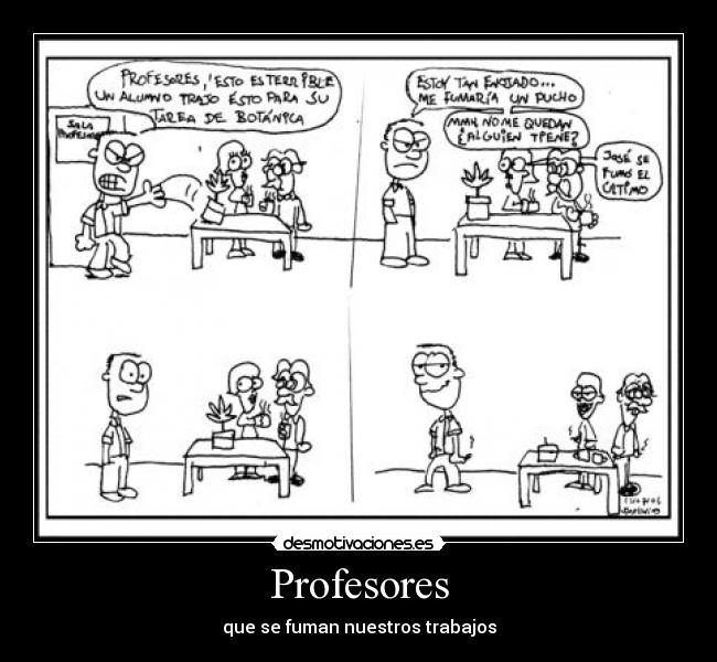 Profesores - 