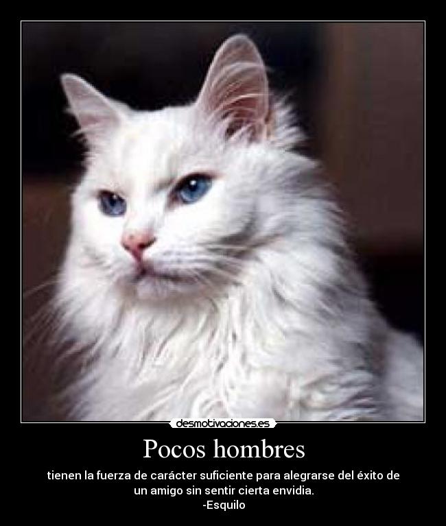 Pocos hombres - 