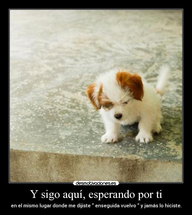 Y sigo aquí, esperando por ti - 