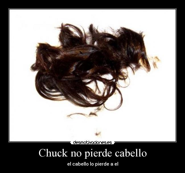 Chuck no pierde cabello -