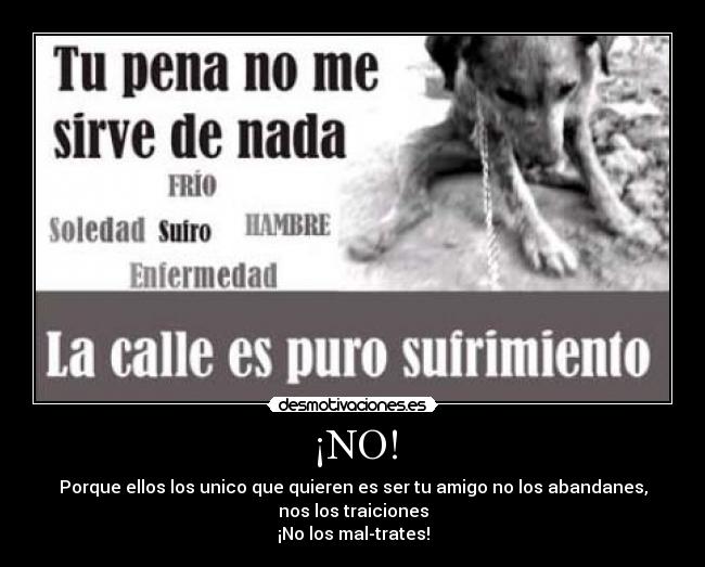 ¡NO! -
