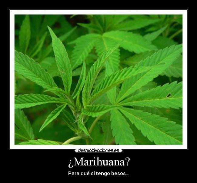 ¿Marihuana? - Para qué si tengo besos...