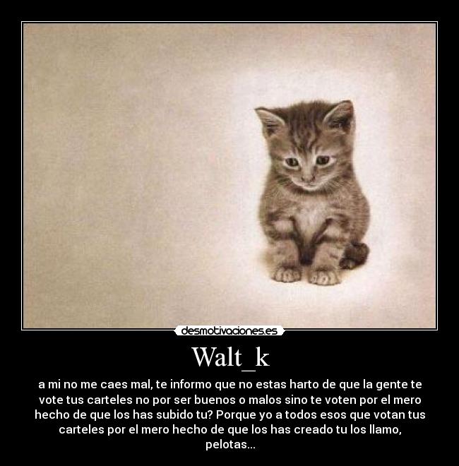 Walt_k -