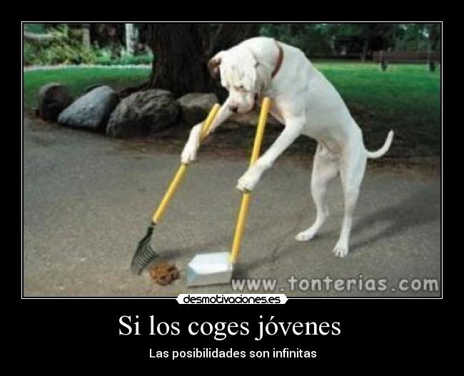 Si los coges jóvenes - Las posibilidades son infinitas