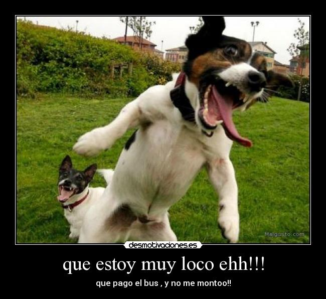 que estoy muy loco ehh!!! -