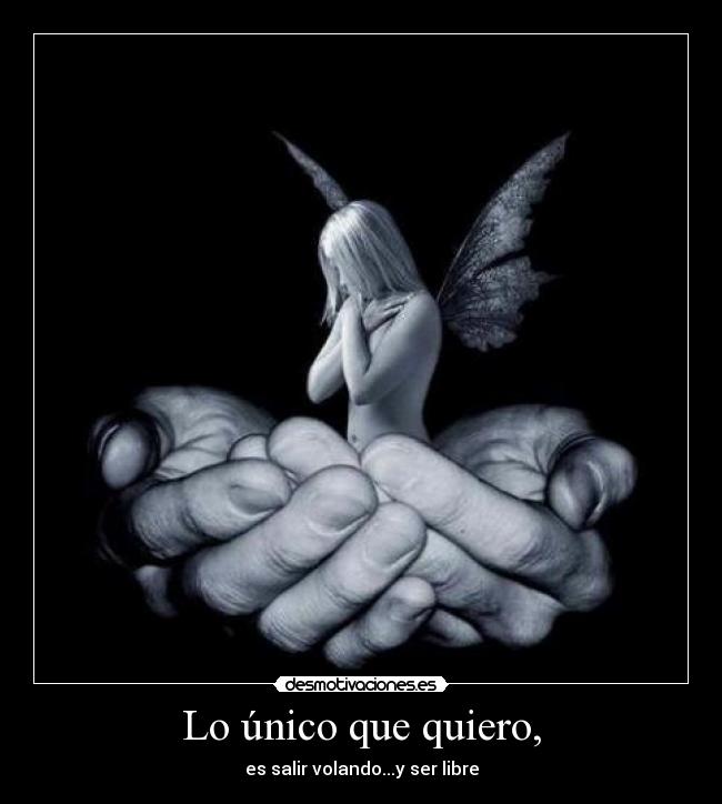 Usuario LIBERTADnoESextremoDEnada Desmotivaciones