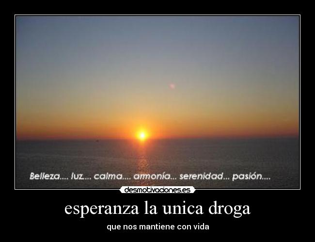 esperanza la unica droga - 