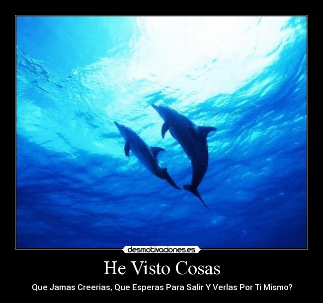 carteles deja computadora paz desmotivaciones