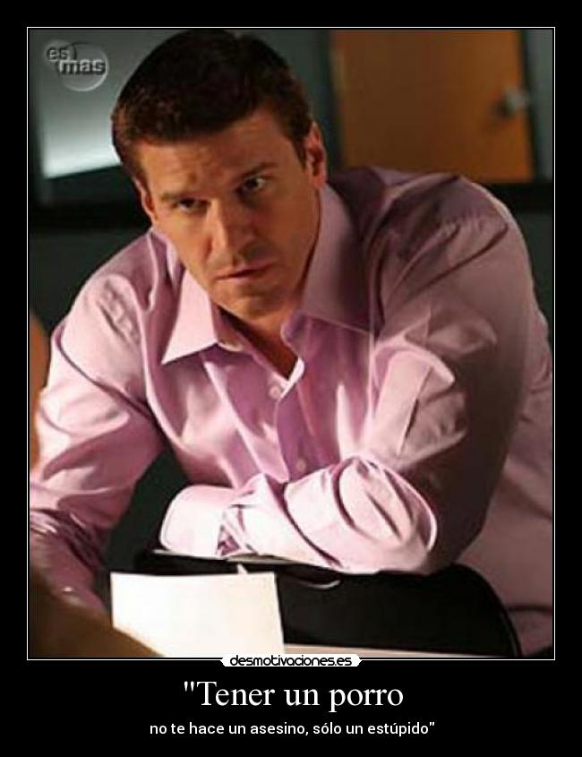 Tener un porro - no te hace un asesino, sólo un estúpido