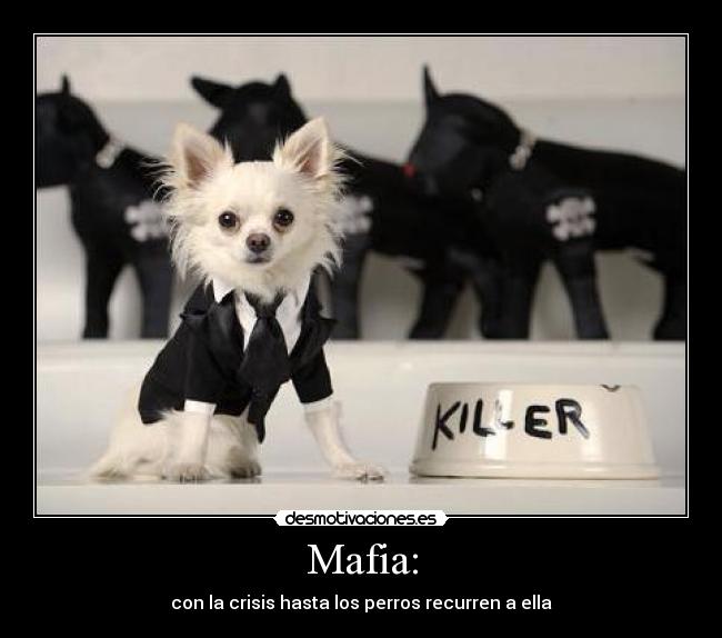 Mafia: -