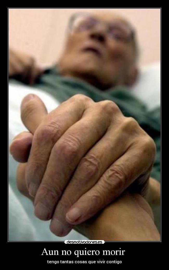 carteles pebbles desmotivaciones