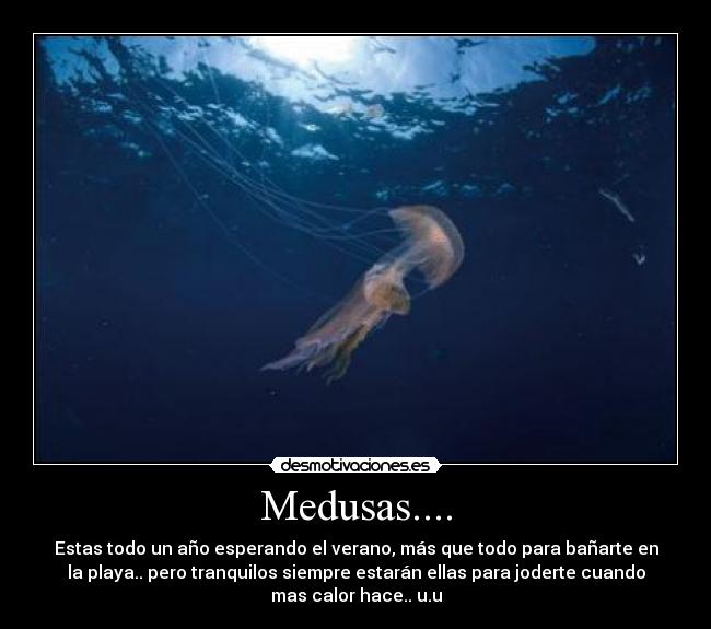 Medusas.... - Estas todo un año esperando el verano, más que todo para bañarte en
la playa.. pero tranquilos siempre estarán ellas para joderte cuando
mas calor hace.. u.u