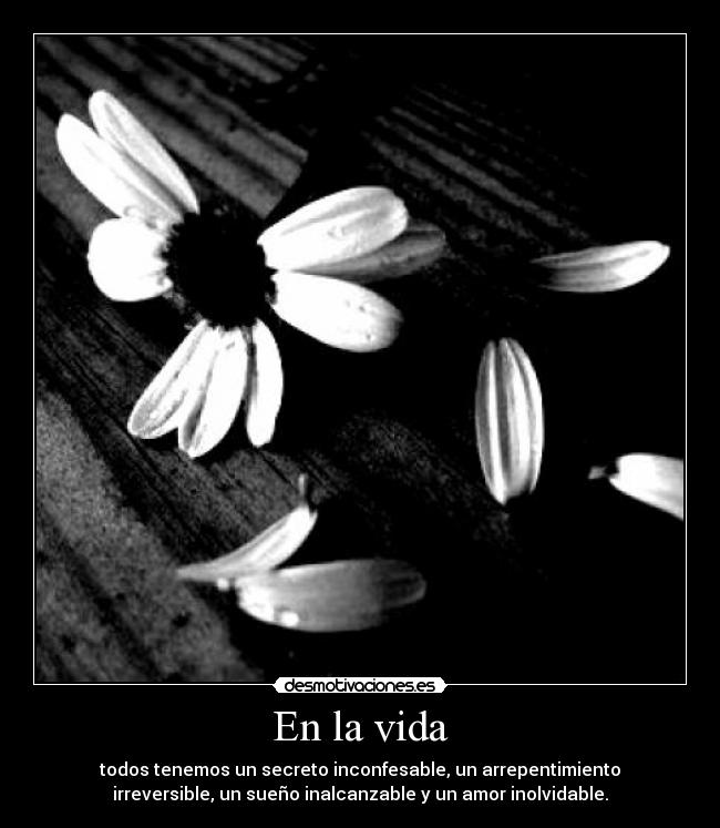 En la vida - todos tenemos un secreto inconfesable, un arrepentimiento
irreversible, un sueño inalcanzable y un amor inolvidable.