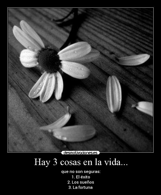 Hay 3 cosas en la vida... - que no son seguras:
1. El éxito
2. Los sueños
3. La fortuna