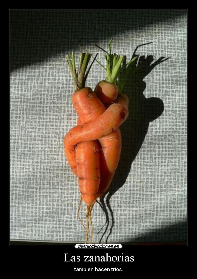 Las zanahorias -