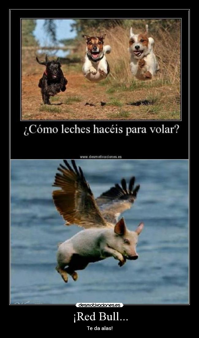 ¡Red Bull... - 