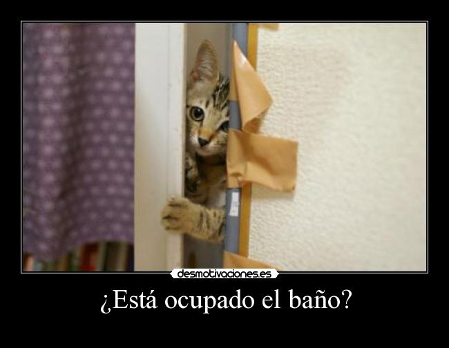 ¿Está ocupado el baño? -