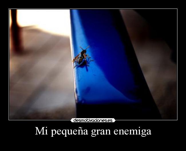 Mi pequeña gran enemiga - 