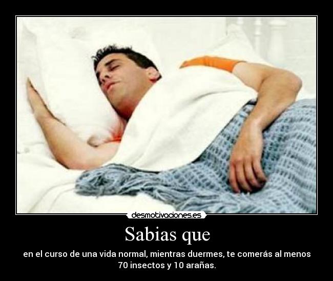 Sabias que - en el curso de una vida normal, mientras duermes, te comerás al menos
70 insectos y 10 arañas.