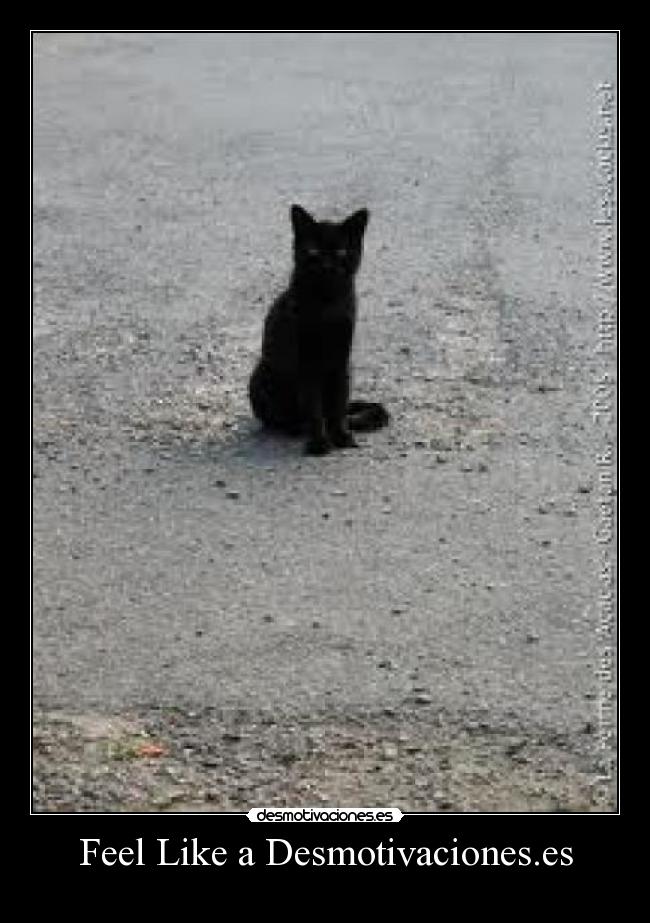 Feel Like a Desmotivaciones.es -