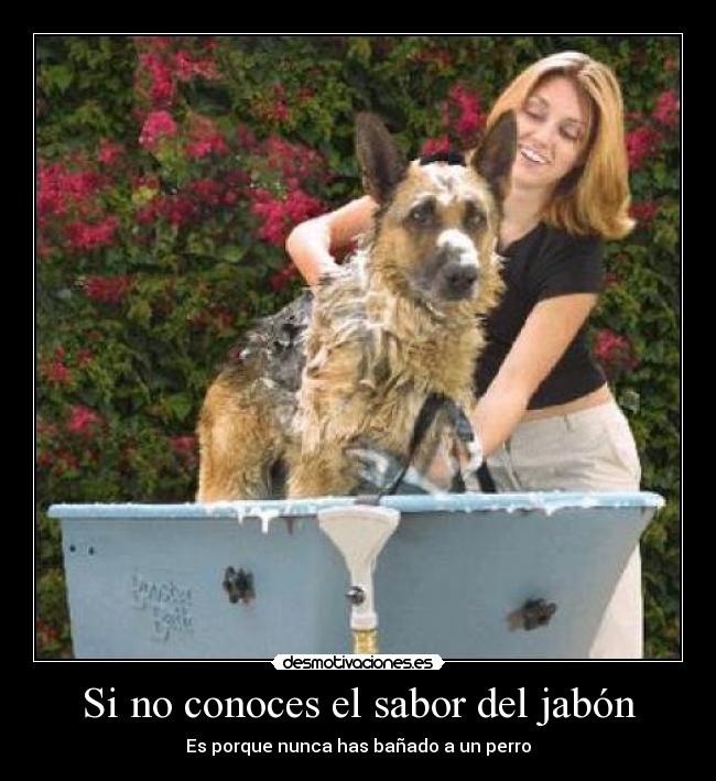Si no conoces el sabor del jabón -