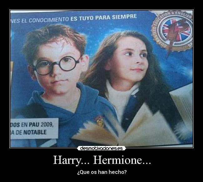 carteles harry hermione dobles curso ingles desmotivaciones
