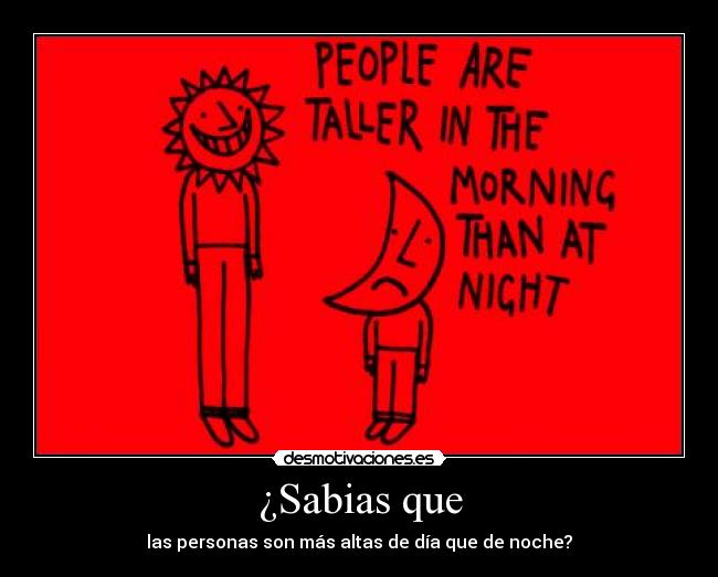 ¿Sabias que - las personas son más altas de día que de noche?