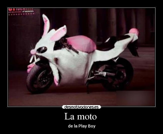 La moto -