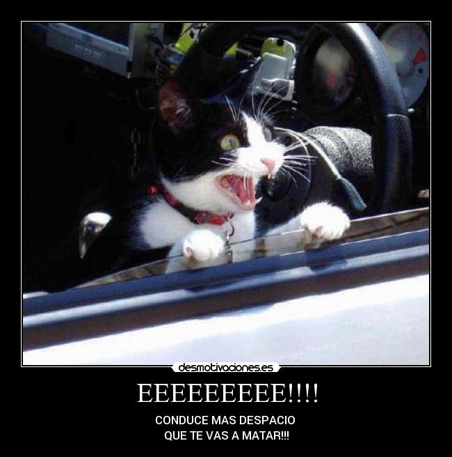 EEEEEEEEE!!!! - CONDUCE MAS DESPACIO
QUE TE VAS A MATAR!!!