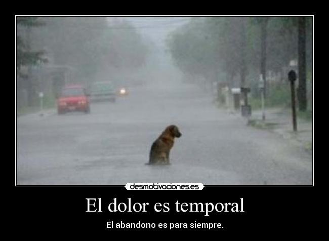 El dolor es temporal - 