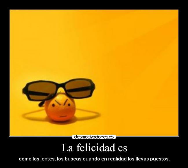 La felicidad es -