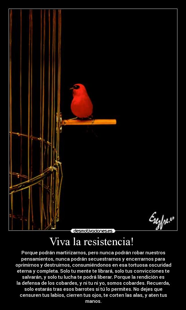 Viva la resistencia! - Porque podrán martirizarnos, pero nunca podrán robar nuestros
pensamientos, nunca podrán secuestrarnos y encerrarnos para
oprimirnos y destruirnos, consumiéndonos en esa tortuosa oscuridad
eterna y completa. Solo tu mente te librará, solo tus convicciones te
salvarán, y solo tu lucha te podrá liberar. Porque la rendición es
la defensa de los cobardes, y ni tu ni yo, somos cobardes. Recuerda,
solo estarás tras esos barrotes si tú lo permites. No dejes que
censuren tus labios, cierren tus ojos, te corten las alas, y aten tus
manos.