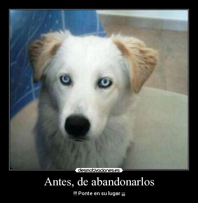 Antes, de abandonarlos - 