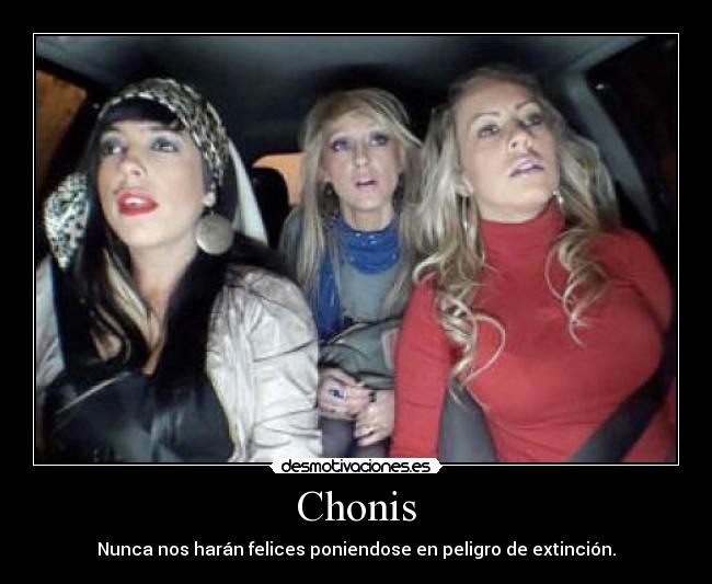 carteles chonis desmotivaciones