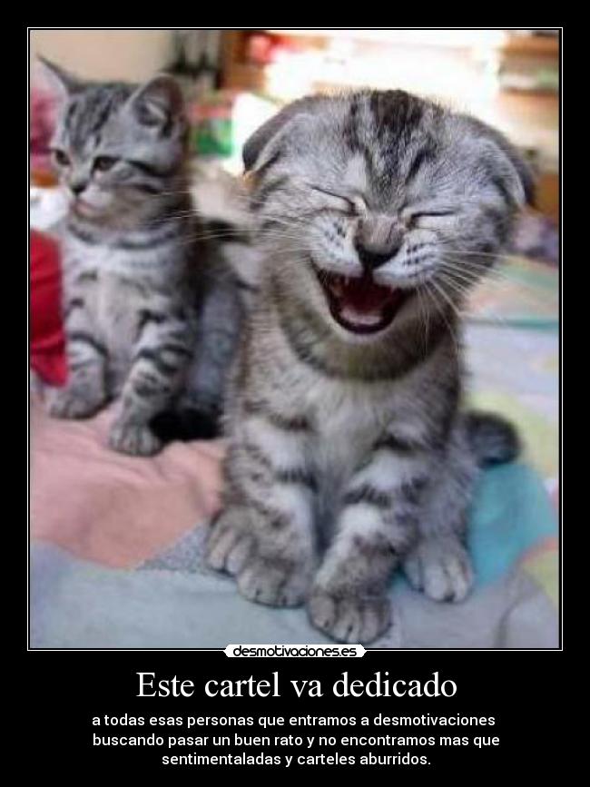 Este cartel va dedicado - a todas esas personas que entramos a desmotivaciones 
buscando pasar un buen rato y no encontramos mas que
sentimentaladas y carteles aburridos.