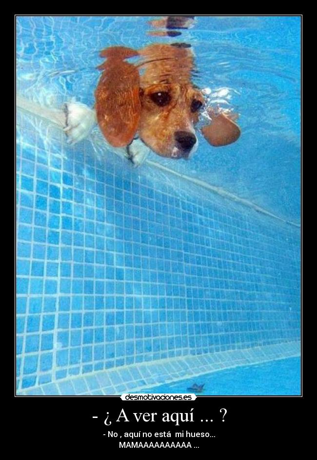 carteles eldeabajoesmejor desmotivaciones