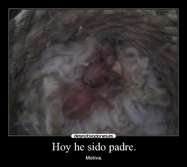 Hoy he sido padre. - Motiva.