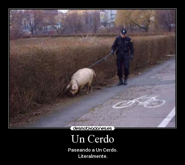 Un Cerdo - 