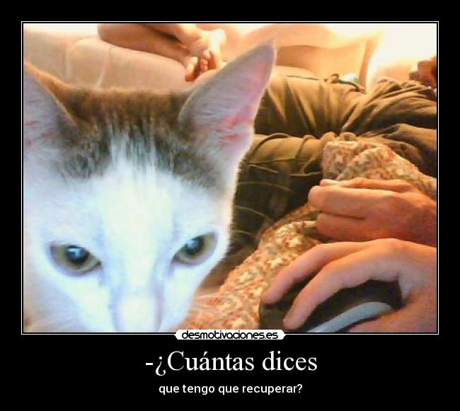 -¿Cuántas dices - 