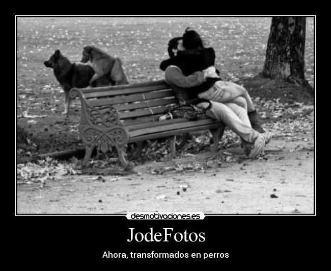 JodeFotos -