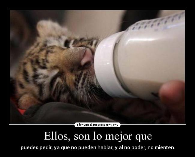 Ellos, son lo mejor que - 