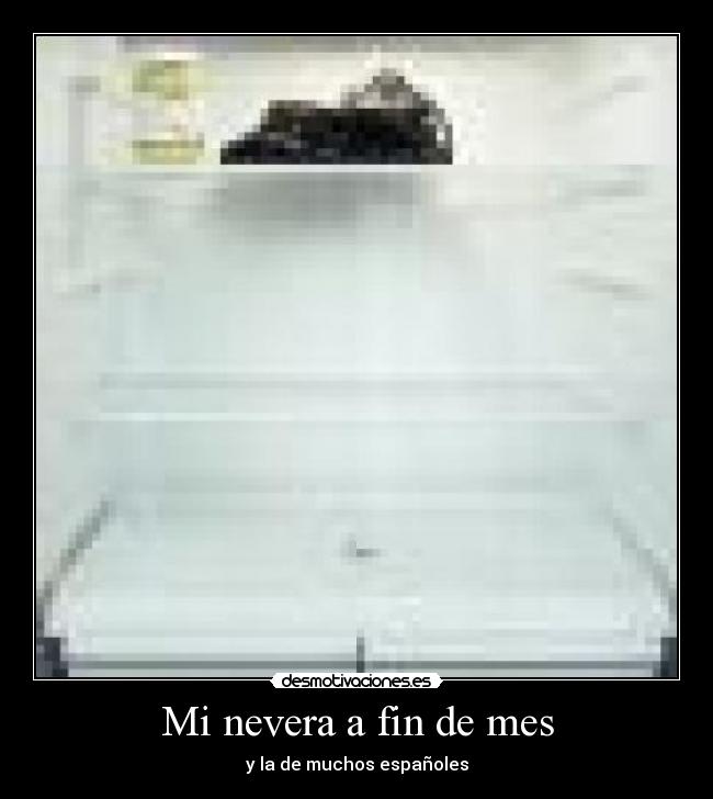 Mi nevera a fin de mes -